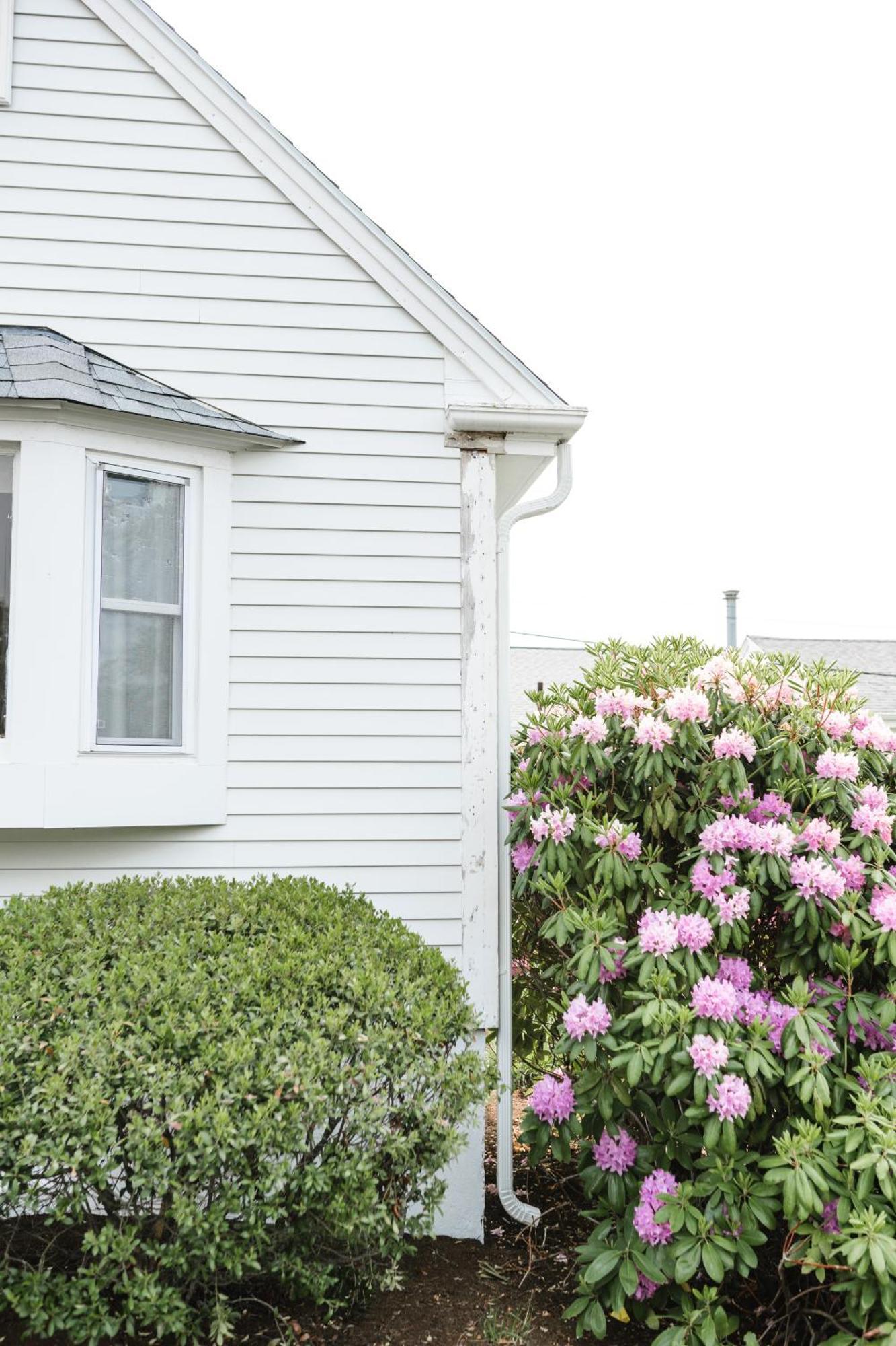 Greyfinch Chatham Inn Екстериор снимка